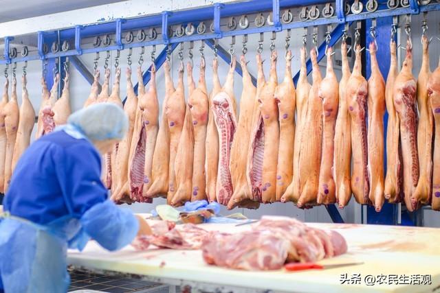 河北猪肉事件最新消息，全面解析与应对进展