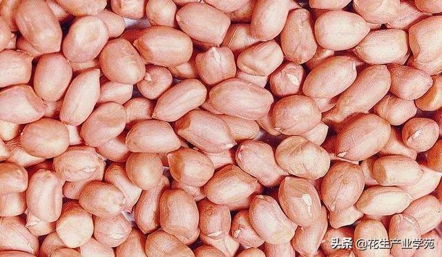 红崖子花生米最新价格动态分析