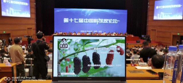 探索Cayanne，一种引领未来的技术与文化融合
