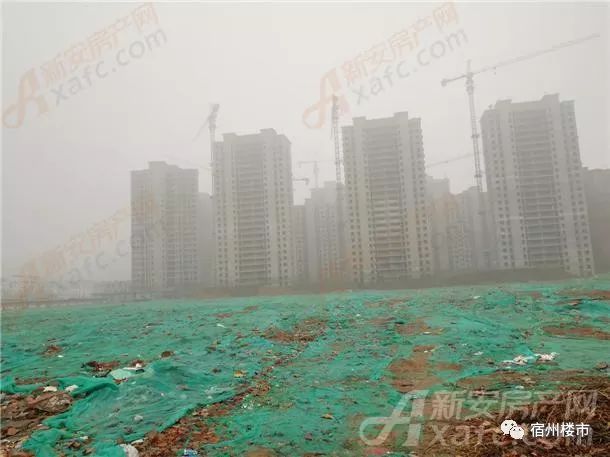 杨柳青大柳滩最新消息，未来规划与发展的多维视角