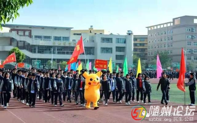 资讯 第206页
