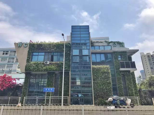 日月大道改造最新消息，重塑城市风貌，提升民生品质