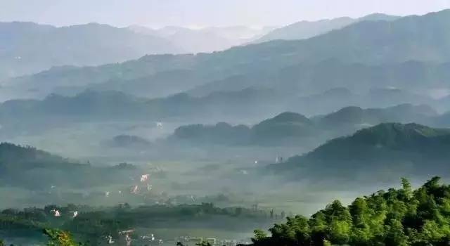 第321页