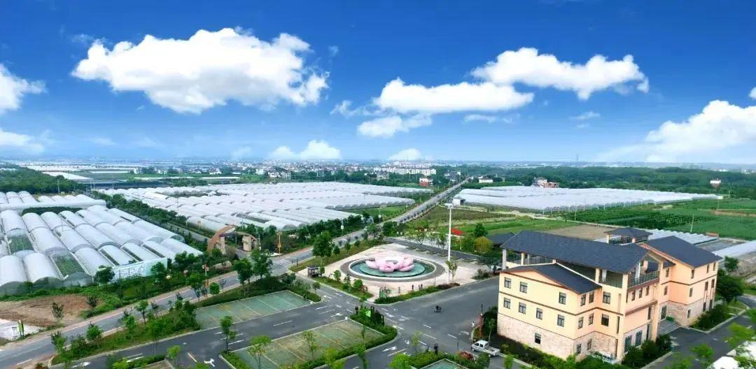 解读2020年最新土地管理法，重塑土地管理新格局