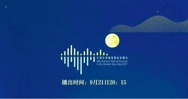 最新港澳台6位分享码，探索数字世界的秘密与魅力