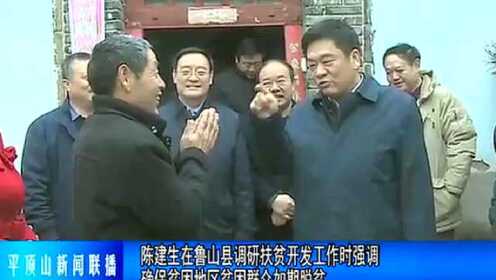 鲁山荆建刚的最新消息，揭开神秘面纱，探寻最新动态