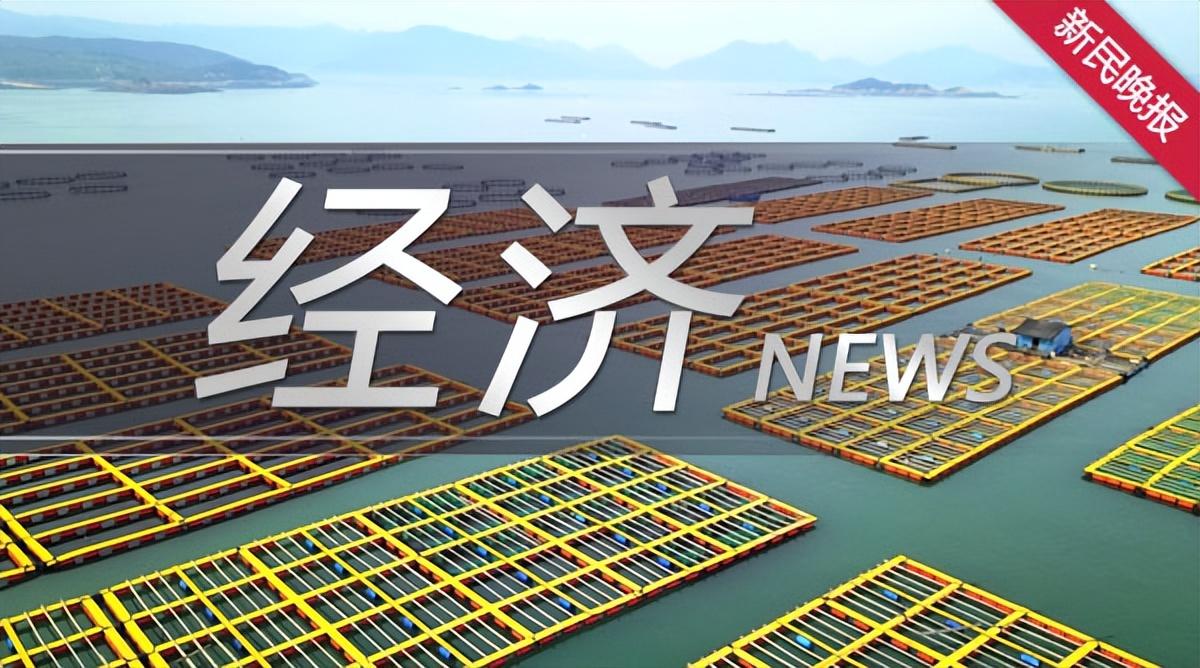 新民58招聘网最新招聘——职场人的新选择