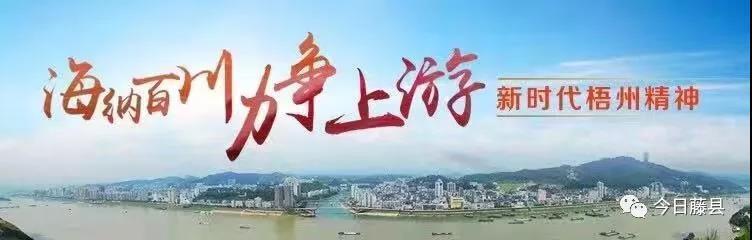 糯垌四灵公路最新进展，建设动态与未来展望