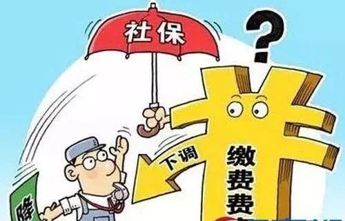 三孩政策最新消息今天，政策调整与社会反响