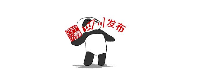 四川人事网最新招聘信息概览